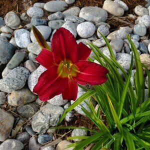 Meet your Posher, Heide